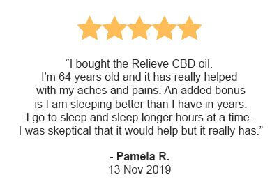 Pamela-r-review Pamela-r-review