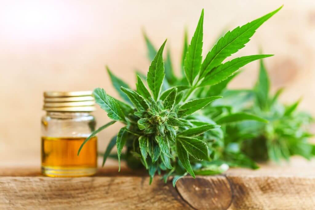 jar of cbd oil next to cannabis plant