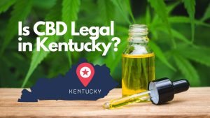 Read more about the article Is CBD legal in Kentucky?